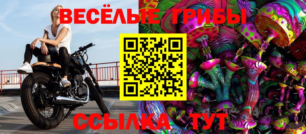 Псилоцибиновые грибы ЛСД Камень-на-Оби