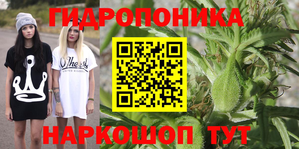 Бошки Шишки сатива  Вход с VPN  Бошки Шишки VHQ  Канабис план  Камень-на-Оби 